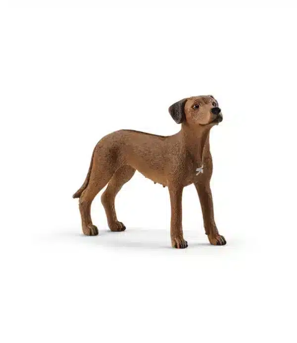 Schleich hond Rhodesian Ridgeback 13895